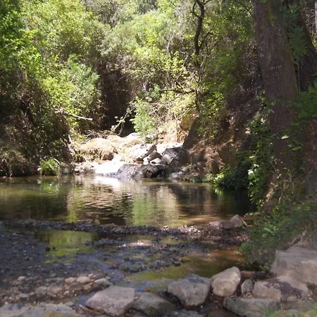 El Rincon De