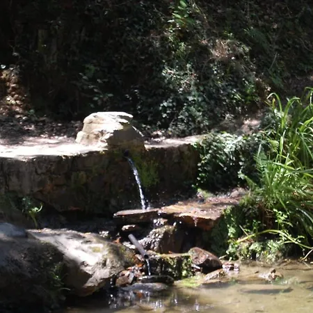 El Rincon De * Alajar