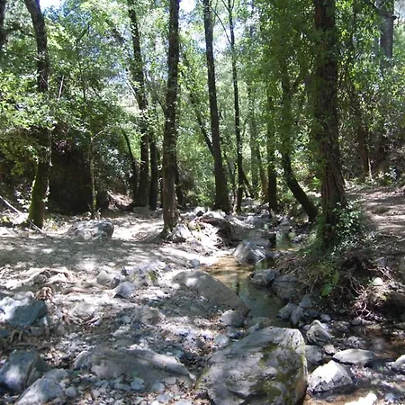 El Rincon De * Alajar